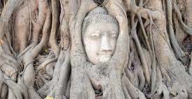 Sejour touristique thailande - Voyage Thailande - wat mahathat blurb